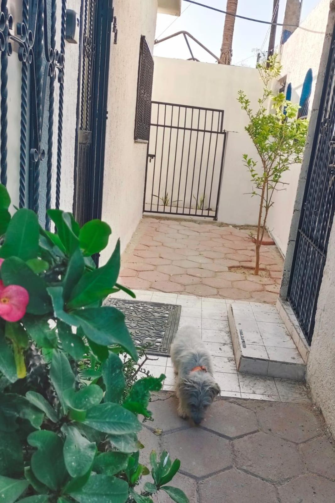 Appartement La Casa Del Pescador à La Paz Extérieur photo